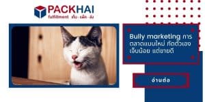 bully marketing
