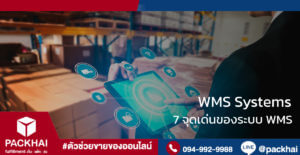 WMS Systems